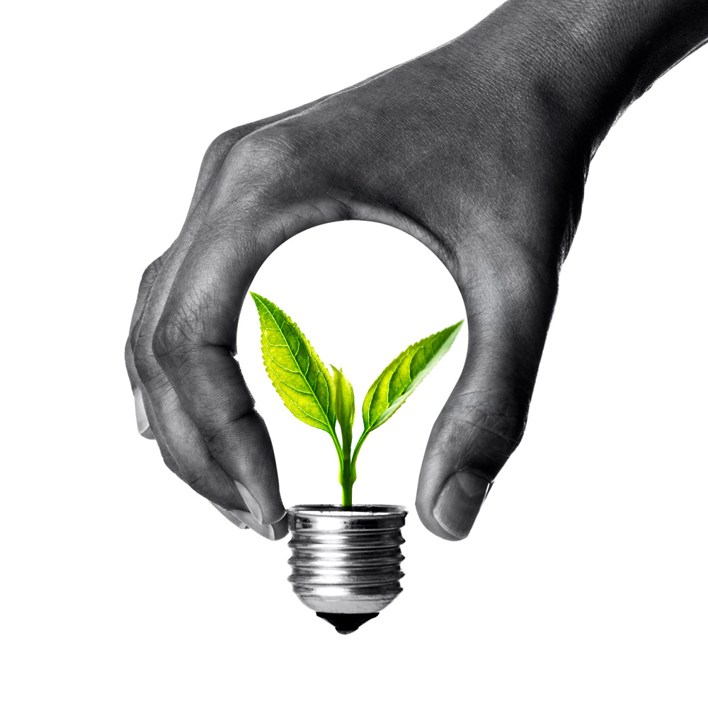 img-checkup-ambientale